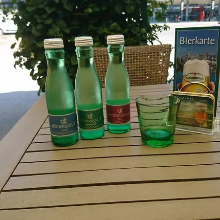 Garni Feichter 斯拉德明