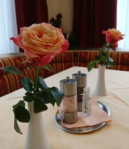 Hotel Garni Feichter 3* Schladming