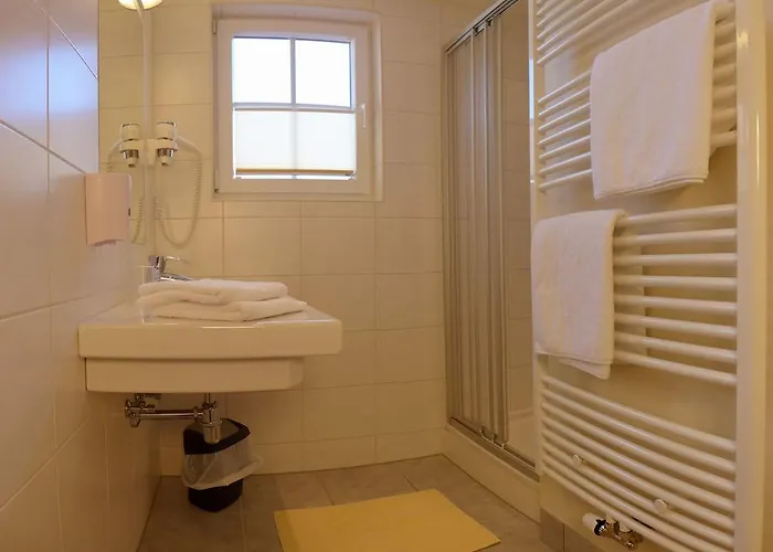 Garni Feichter 斯拉德明